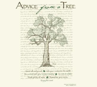 Advice from a Tree, Medium