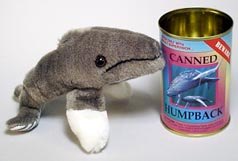 Canned Humpback Whale