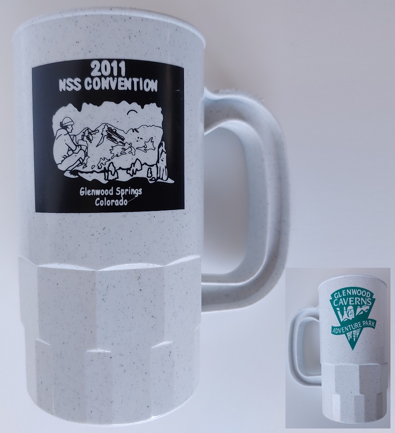 NSS 2011 Convention Mug