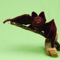 Mexican Freetail Bat