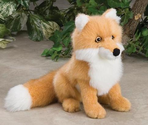 Red Fox, baby